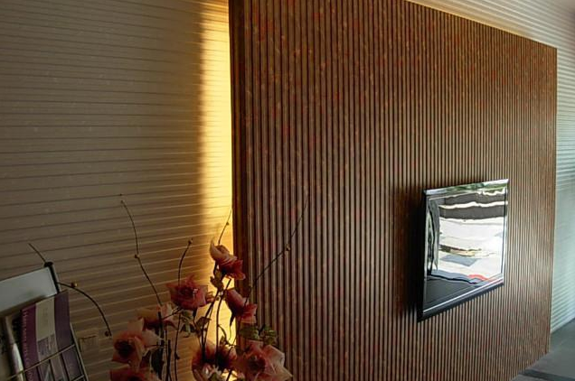 佛山硅藻泥客厅背景墙颜色如何匹配
