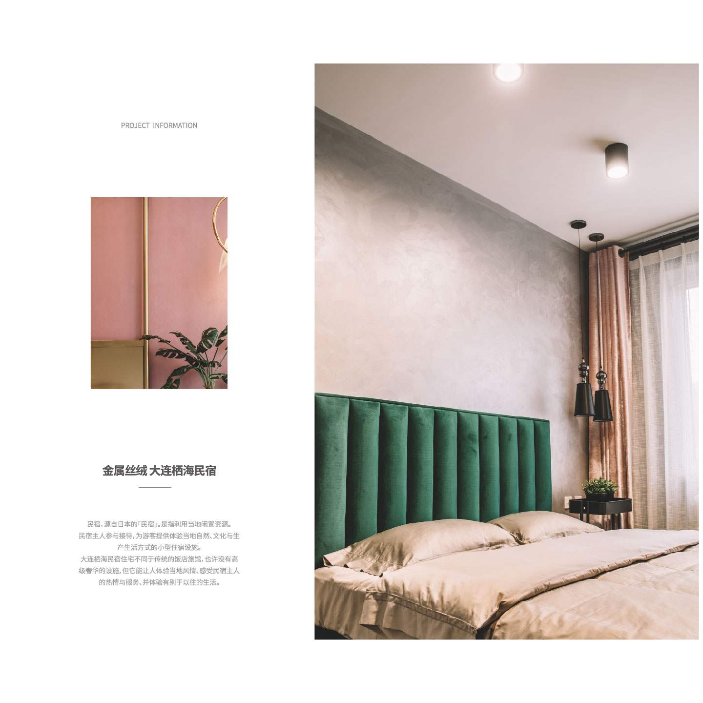 金属丝绒大连栖海民宿