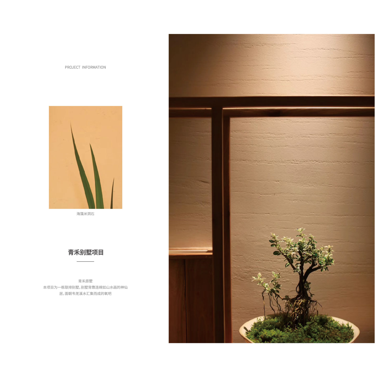 青禾别墅项目-生态稻草泥、海藻米洞石、清水混泥土、金属丝绒。