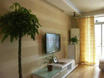  硅藻泥电视背景墙效果图（2）