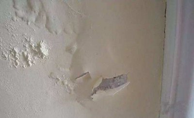 硅藻泥和乳胶漆哪个好？看一下便知道